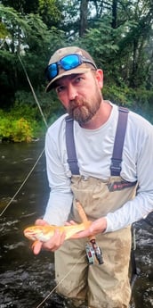 Golden Trout Fishing in Broken Bow, Oklahoma