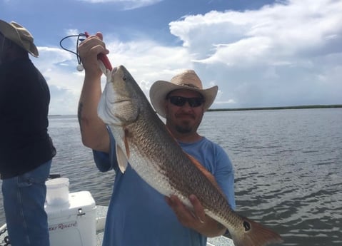 Redfish fishing in Buras, Louisiana