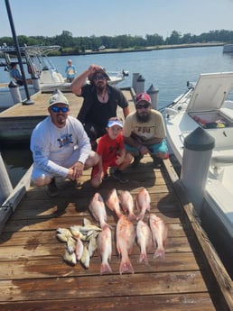 Mangrove Snapper, Red Snapper, Vermillion Snapper Fishing in Pensacola, Florida