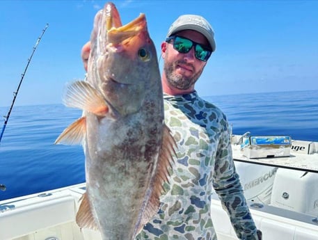 Gag Grouper Fishing in Clearwater, Florida