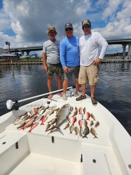 Amberjack, Red Snapper fishing in Pensacola, Florida