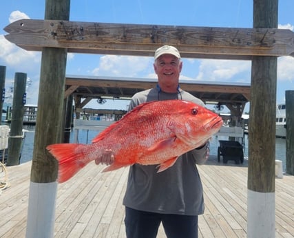 Red Snapper Fishing in Orange Beach, Alabama