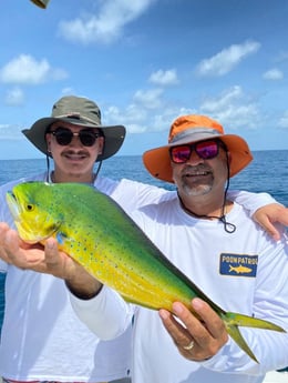 Mahi Mahi / Dorado fishing in Holmes Beach, Florida