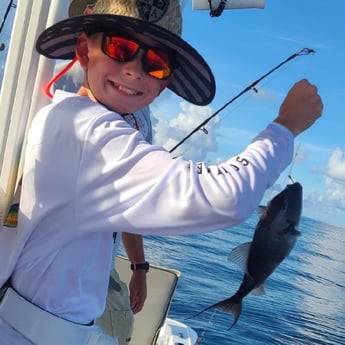 Triggerfish fishing in Panama City, Florida