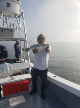 Speckled Trout / Spotted Seatrout Fishing in Hatteras, North Carolina