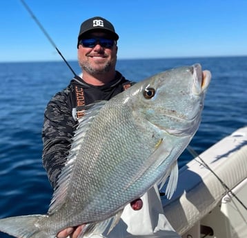 Bream fishing in Clearwater, Florida