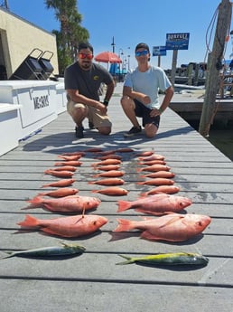 Mahi Mahi, Red Snapper Fishing in Panama City Beach, Florida