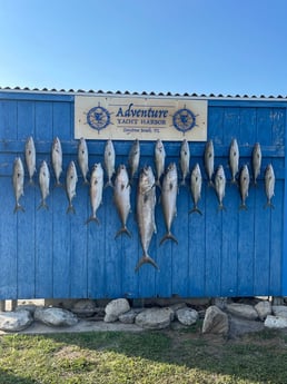 Amberjack fishing in Port Orange, Florida