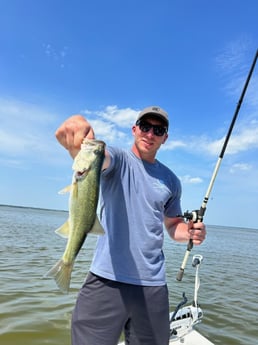Largemouth Bass Fishing in Clearwater, Florida