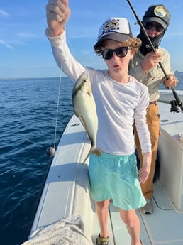 Almaco Jack Fishing in Jupiter, Florida