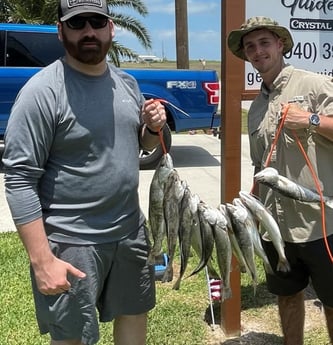 Speckled Trout Fishing in Bolivar Peninsula, Texas