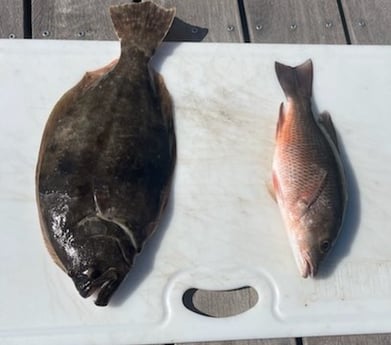 Flounder, Mangrove Snapper fishing in Gulf Shores, Alabama