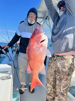 Red Snapper Fishing in Gulf Shores, Alabama
