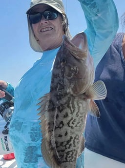Gag Grouper fishing in Panama City, Florida