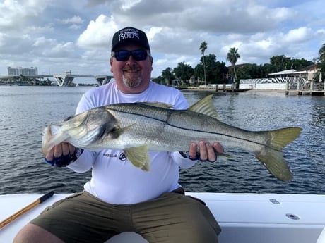 Snook Fishing in Fort Lauderdale, Florida
