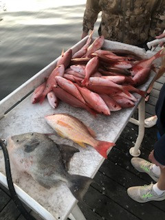 Lane Snapper, Triggerfish, Vermillion Snapper Fishing in Santa Rosa Beach, Florida