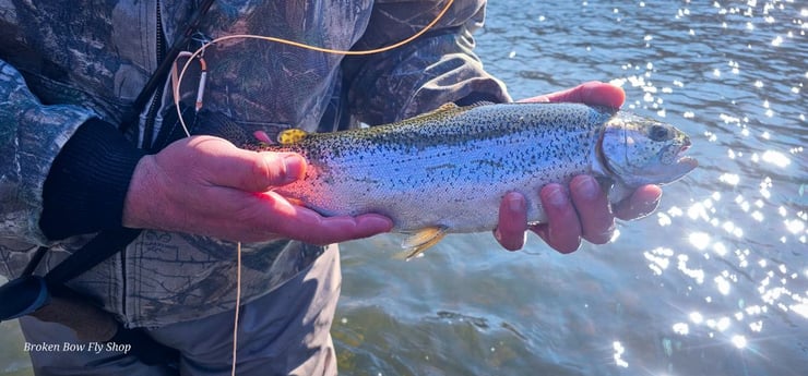 Fishing in Broken Bow, Oklahoma