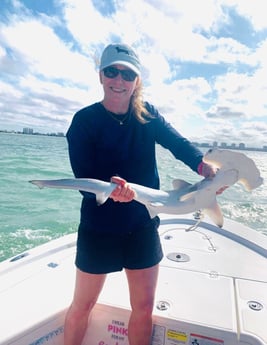 Redfish fishing in Fort Myers Beach, Florida