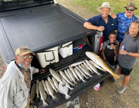 Flounder, Redfish, Speckled Trout / Spotted Seatrout fishing in Port Arthur, Jefferson County