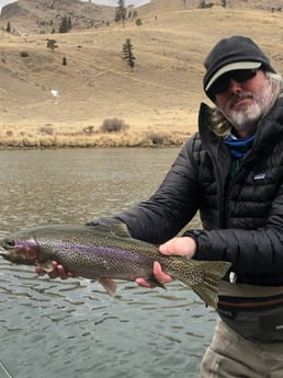 Rainbow Trout fishing in Bozeman, Montana
