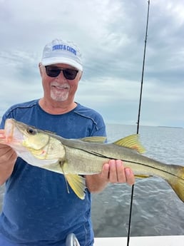 Snook Fishing in Islamorada, Florida