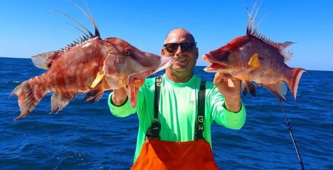 Hogfish Fishing in St. Petersburg, Florida