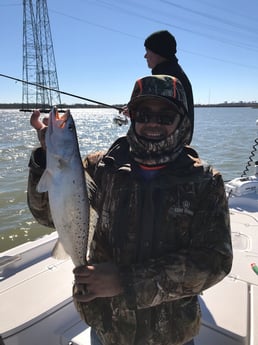 Speckled Trout / Spotted Seatrout Fishing in League City, Texas