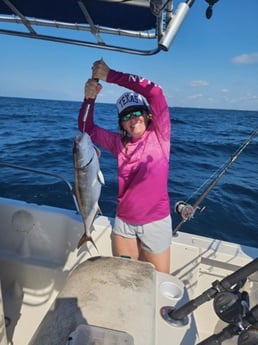 Amberjack Fishing in Destin, Florida