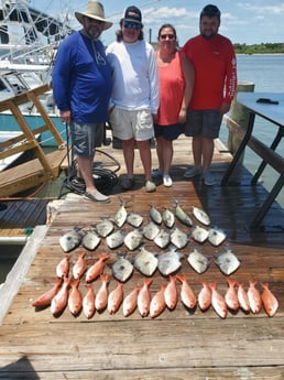 Triggerfish, Vermillion Snapper fishing in Port Orange, Florida