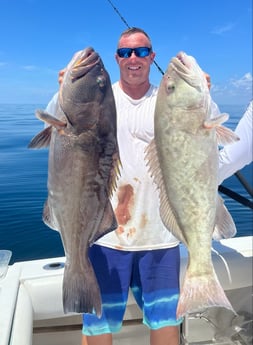 Gag Grouper Fishing in Gulfport, Florida