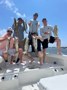 Speckled Trout Fishing in Orange Beach, Alabama