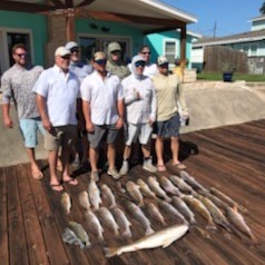 Black Drum, Redfish, Speckled Trout Fishing in Rockport, Texas