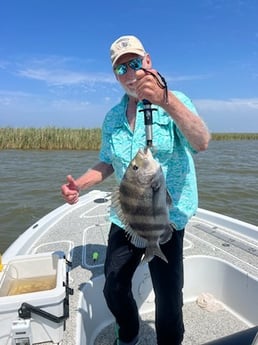 Sheepshead Fishing in Buras, Louisiana