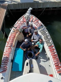 Amberjack, Blackfin Tuna, Red Snapper, Vermillion Snapper Fishing in Clearwater, Florida
