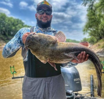 Flathead Catfish Fishing in Dallas, Texas