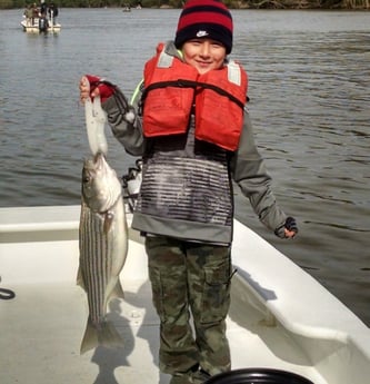 Striped Bass Fishing in Frisco, North Carolina