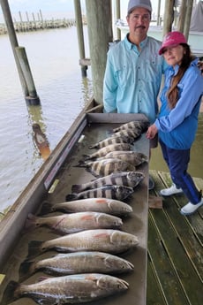Black Drum, Redfish, Sheepshead, Speckled Trout / Spotted Seatrout fishing in San Leon, Texas