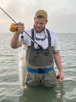 Speckled Trout Fishing in Galveston, Texas