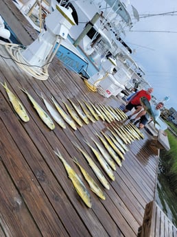 Mahi Mahi / Dorado fishing in Morehead City, North Carolina