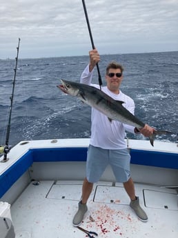 King Mackerel / Kingfish fishing in West Palm Beach, Florida