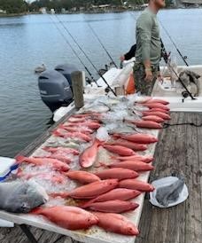 Triggerfish, Vermillion Snapper Fishing in Pensacola, Florida