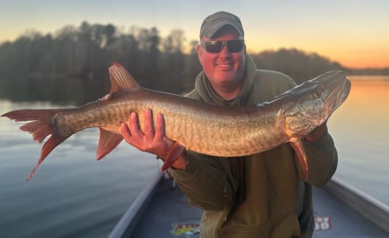 Muskie Fishing in Knoxville, Tennessee
