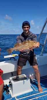 Red Grouper fishing in Fort Myers Beach, Florida