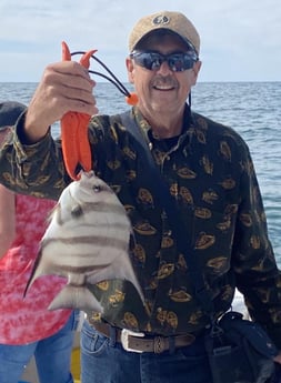 Spadefish fishing in Orange Beach, Alabama