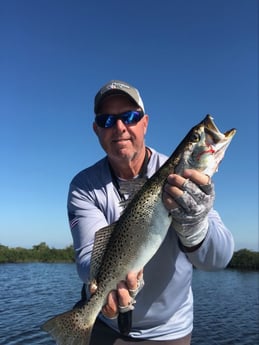 fishing in , Hudson, FL