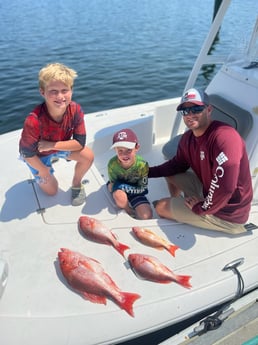 Red Snapper fishing in Panama City, Florida