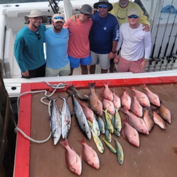 King Mackerel / Kingfish, Mahi Mahi / Dorado, Red Snapper fishing in Panama City, Florida