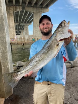 Speckled Trout / Spotted Seatrout fishing in Port Orange, Florida