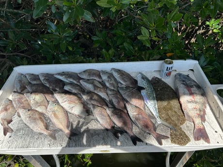 Fishing in Bay Pines, Florida