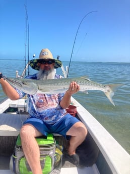 Barracuda fishing in Summerland Key, Florida